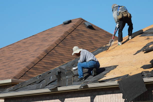 Best Roof Ventilation Installation  in Northfield, IL